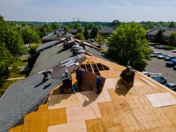 Trusted Storm Damage Roof Repair service in Lodi, CA - Brentwood Metal Roofing
